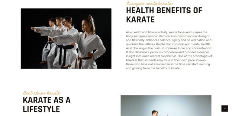About-Us-Best-Choice-Karate-768x385